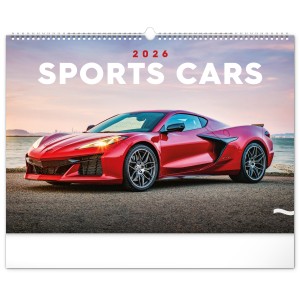 Falinapt�r Cars 2027, 48 � 33 cm