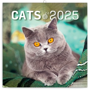 Lemeznapt�r Cats 2027, 30 � 30 cm