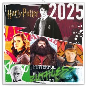 Lemeznapt�r Harry Potter 2027, 30 � 30 cm