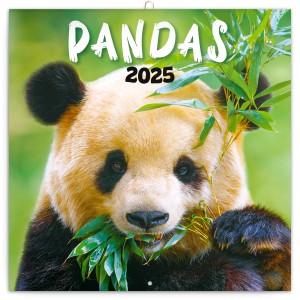 Lemeznapt�r Pandas 2027, 30 � 30 cm